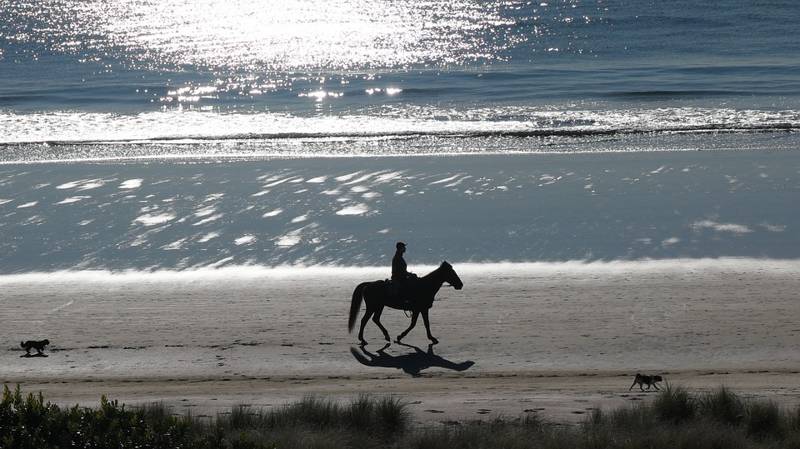 Beach Holiday Callantsoog with your horse. 